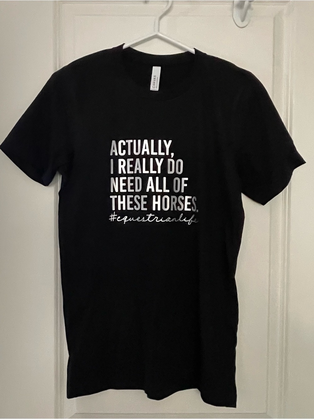 Actually I Really Do Need All Of These Horses Tshirt